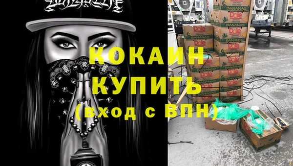 a pvp Бородино