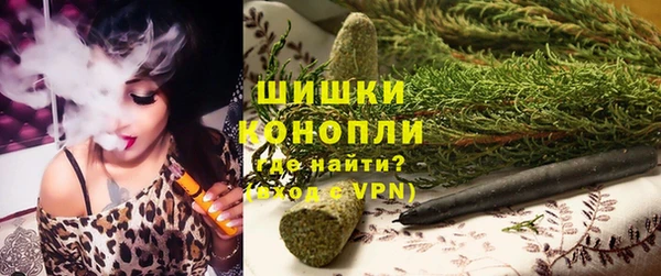 a pvp Бородино