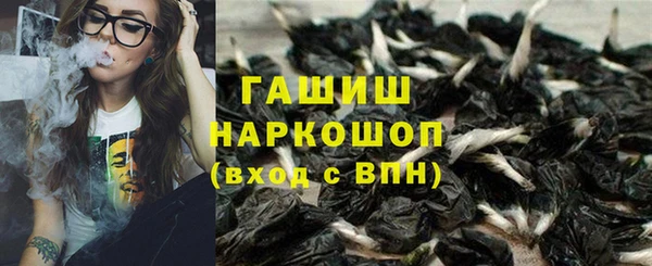 a pvp Бородино